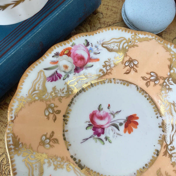 Antique Coalport Old English teacup and saucer, peach ground, flowers, shells