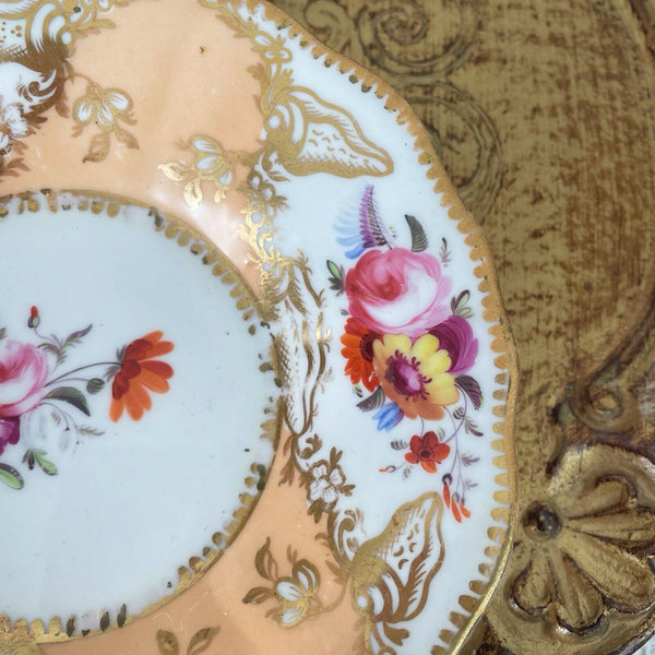 Antique Coalport Old English teacup and saucer, peach ground, flowers, shells