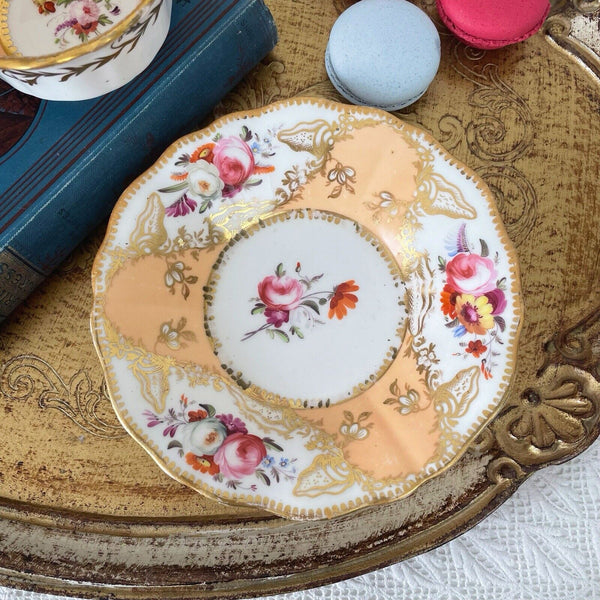 Antique Coalport Old English teacup and saucer, peach ground, flowers, shells