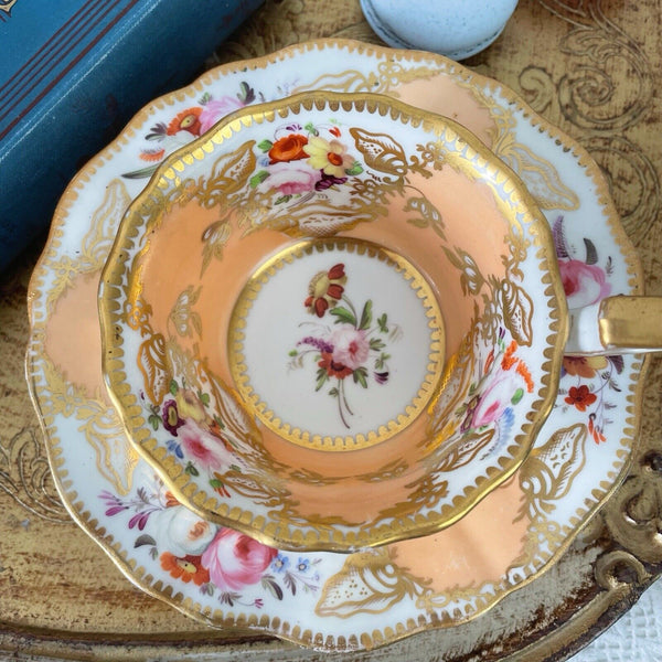 Antique Coalport Old English teacup and saucer, peach ground, flowers, shells