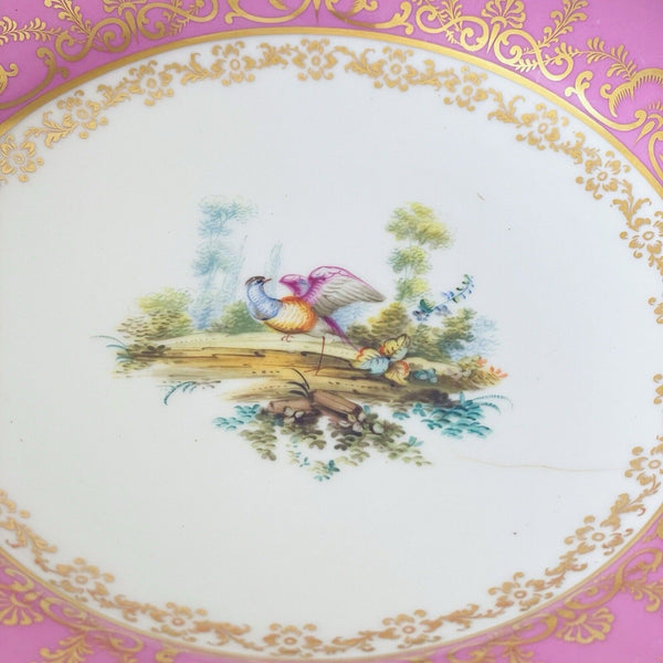 Antique pink Coalport comport stand, handpainted birds by Randall