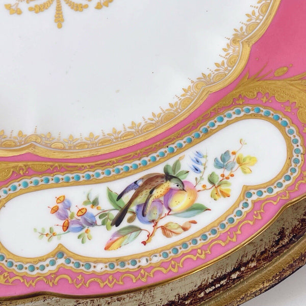 Antique Coalport plate, Sèvres style, handpainted birds, pink ground, turquoise