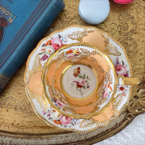 Antique Coalport Old English teacup and saucer, peach ground, flowers, shells