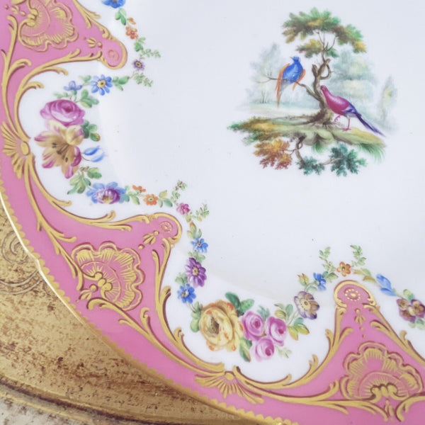 Antique Sèvres porcelain plate pink handpainted fancy birds flowers