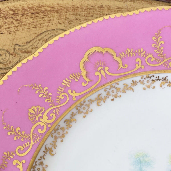 Antique pink Coalport pink dessert/cabinet plate, handpainted birds by Randall