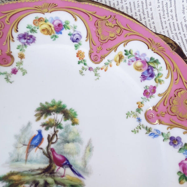 Antique Sèvres porcelain plate pink handpainted fancy birds flowers