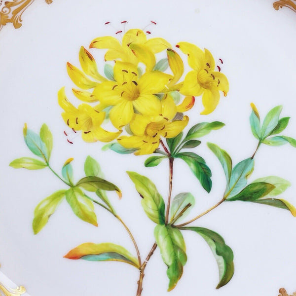 An antique Coalport reticulated dessert plate, handpainted botanical, turquoise