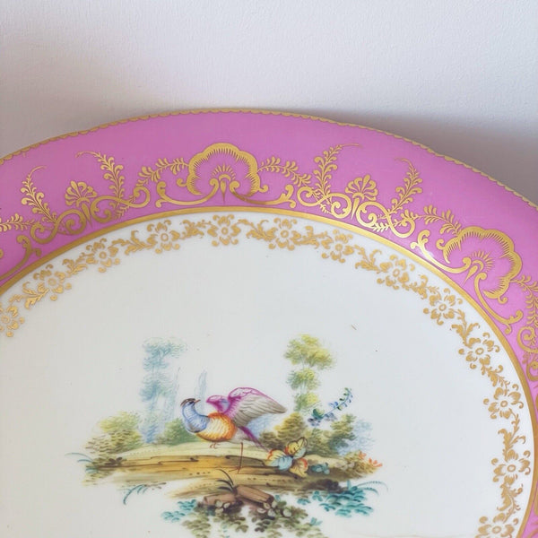 Antique pink Coalport comport stand, handpainted birds by Randall