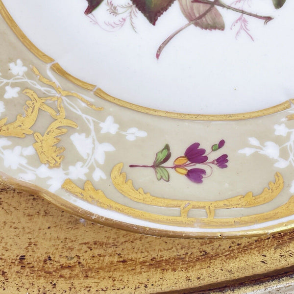 Antique Coalport moulded plate, c1820, handpainted with fruit and flowers