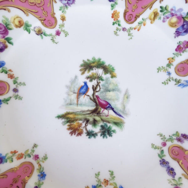 Antique Sèvres porcelain plate pink handpainted fancy birds flowers