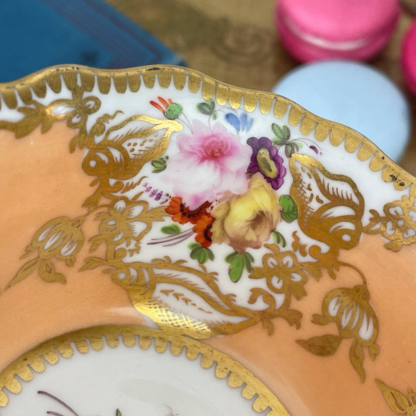 Antique Coalport Old English teacup and saucer, peach ground, flowers, shells