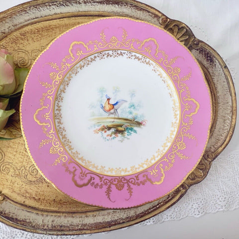 Antique pink Coalport pink dessert/cabinet plate, handpainted birds by Randall