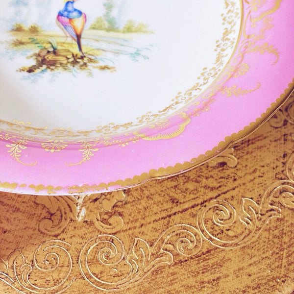 Antique Coalport pink comport, handpainted birds by Randall