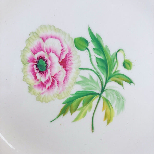 Antique Minton style dessert plate, central handpainted floral study, turquoise