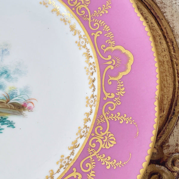 Antique pink Coalport pink dessert/cabinet plate, handpainted birds by Randall