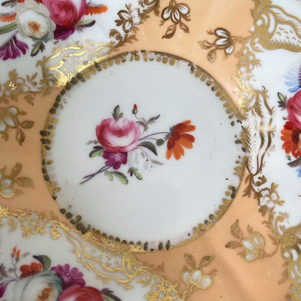 Antique Coalport Old English teacup and saucer, peach ground, flowers, shells