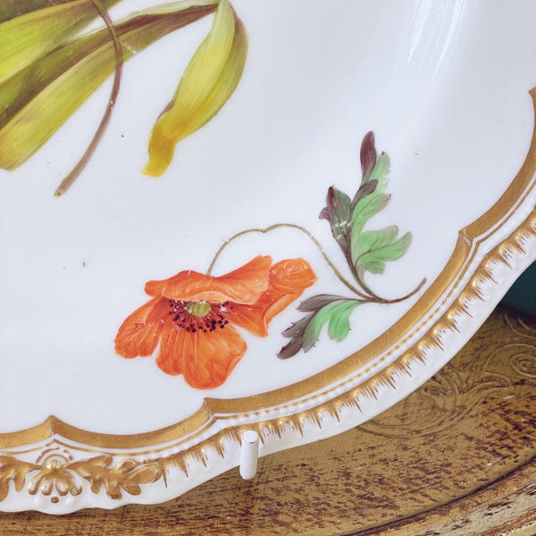 Antique Yates cabinet plate with handpainted tulip botanical study, c.1828