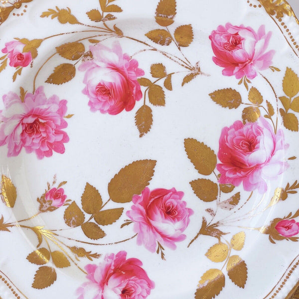 Antique Yates dessert plate, handpainted large pink cabbage roses, gilt foliage