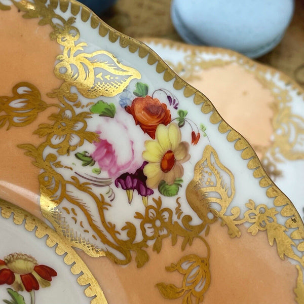 Antique Coalport Old English teacup and saucer, peach ground, flowers, shells