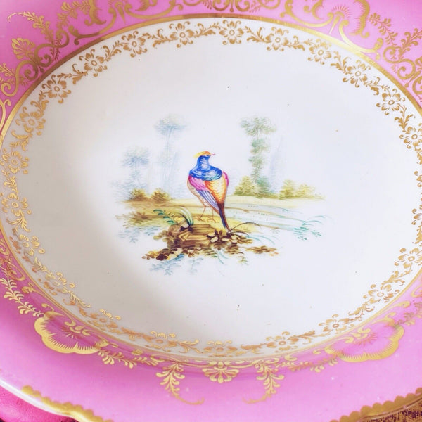 Antique Coalport pink comport, handpainted birds by Randall