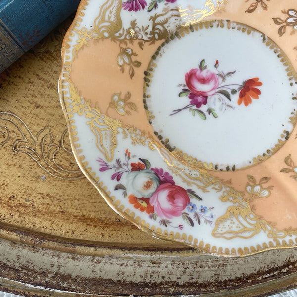 Antique Coalport Old English teacup and saucer, peach ground, flowers, shells