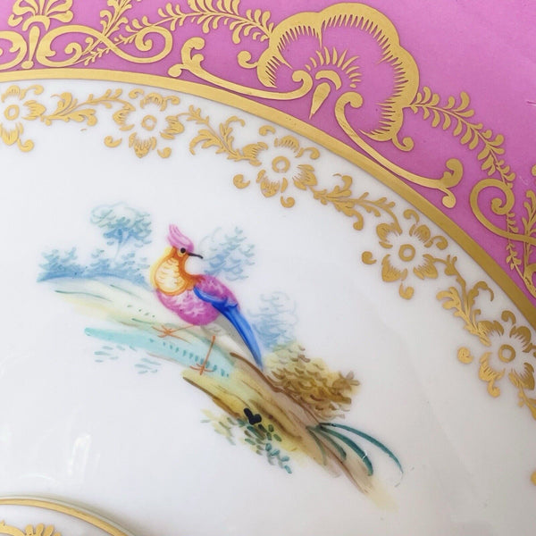 Antique pink Coalport comport stand, handpainted birds by Randall