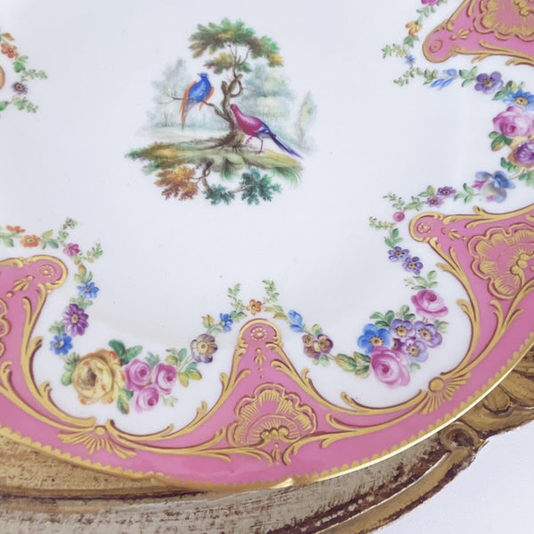 Antique Sèvres porcelain plate pink handpainted fancy birds flowers