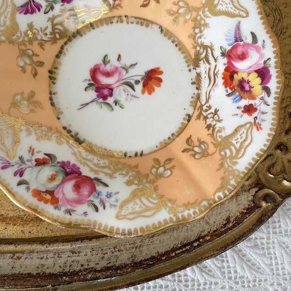 Antique Coalport Old English teacup and saucer, peach ground, flowers, shells