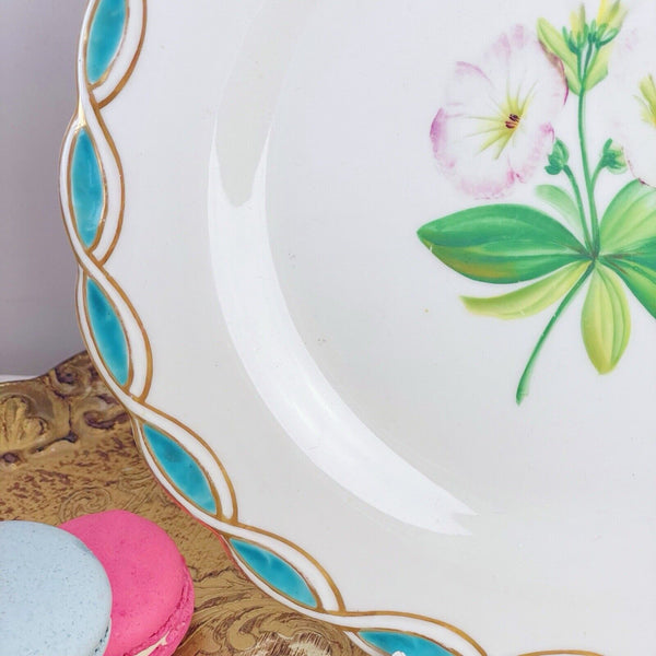 Antique Minton style dessert plate, central handpainted floral study, turquoise