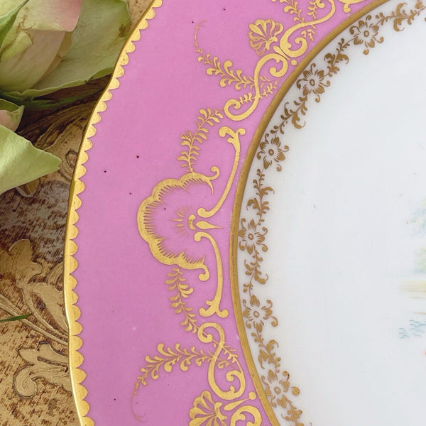 Antique pink Coalport pink dessert/cabinet plate, handpainted birds by Randall