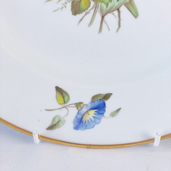 Antique Derby plate, c. 1815, handpainted flowers, possibly Moses Webster