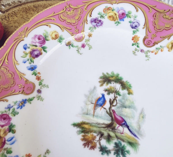 Antique Sèvres porcelain plate pink handpainted fancy birds flowers