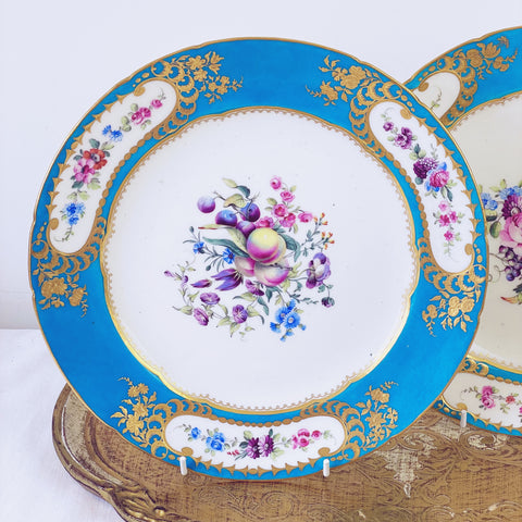 Sèvres soft paste pair of dessert plates, 24.6cm (B)